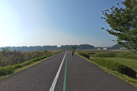 手賀沼を歩こう7/27(SUN)6時~ 〈ランハート柏ウォーキング部〉