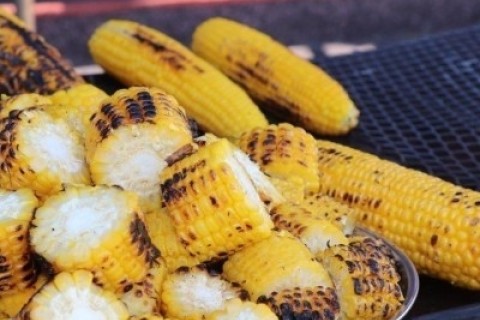 第７回　うらうす友だちマラニック