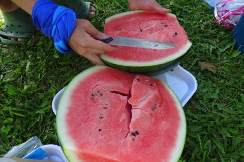 夏野菜カレーマラニック