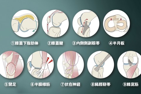 【あと1名！】あなたの努力を成果へ。マラソン前のトータルコンディショニングケア