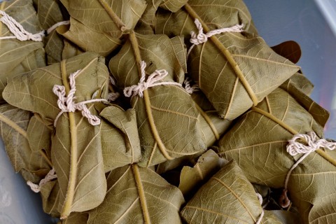 神流トレランサポーターズ_トレイル整備・清掃(8月)