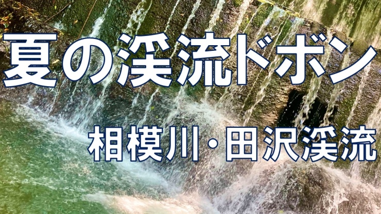 高尾山ー小仏城山ー相模湖コース16km