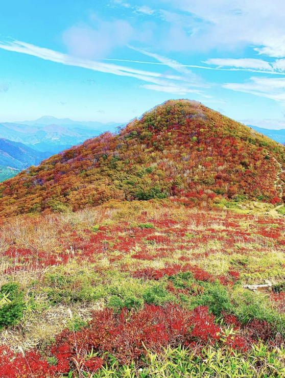 比婆山紅葉(立烏帽子山)