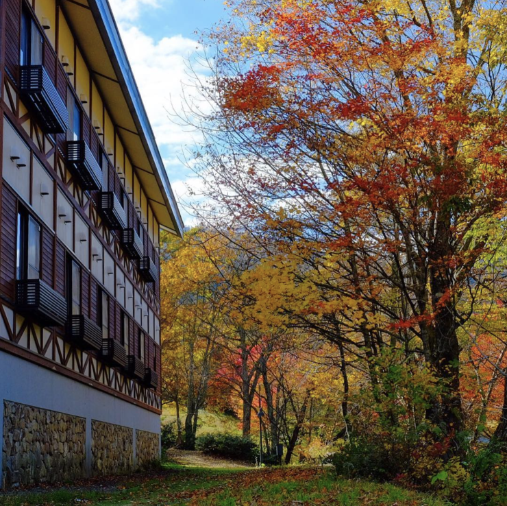 比婆山紅葉(センターハウス横)