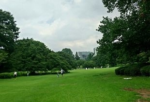 快体健歩月例ランニング練習会in木場公園８