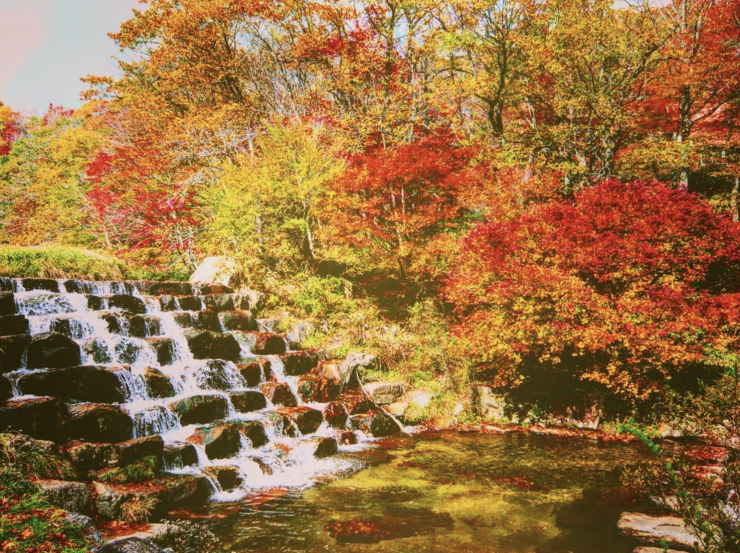 比婆山紅葉(砂防ダム)