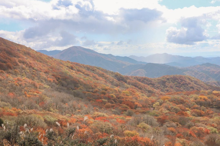 比婆山連峰紅葉