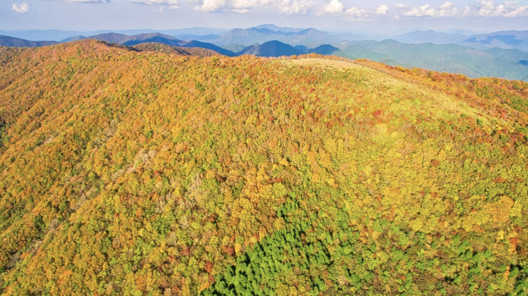 比婆山連峰紅葉