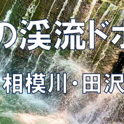 高尾山ー小仏城山ー相模湖コース16km