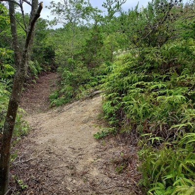 淡路市制20周年記念　淡路市古道ウォーキングイベント