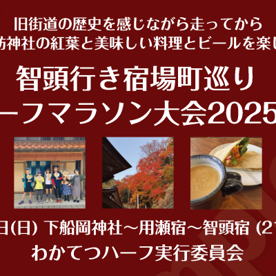 【地元割残3 走った後で紅葉と食事とビール】智頭行き宿場町巡りハーフマラソン大会2025秋