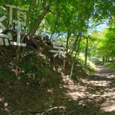 Saturday Community Run(青木ヶ原樹海トレイルラン)