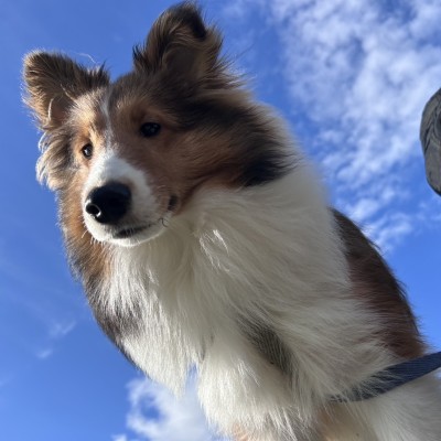 らぶ＆ぴーすさん