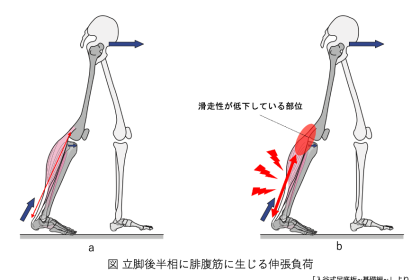 【ふくい桜マラソン2026限定】マラソンチャレンジモニター募集