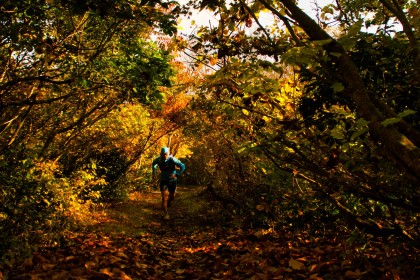 MadaraoForestTrails50km斑尾高原トレイルランニングレース2025
