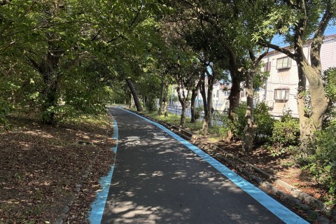 ロング変化走 練習会 【大野川緑陰道路】
