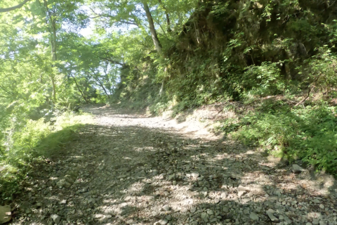 【林道ラン＆バーベキュー】木陰deランニング練習会 in 丹沢