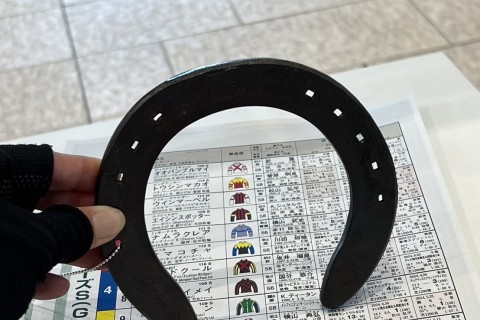 札幌夏競馬マラニック