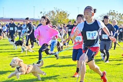 千葉市&チェコ共和国大使館 後援 「愛犬と走る」2025千葉アスレチックドギーズ