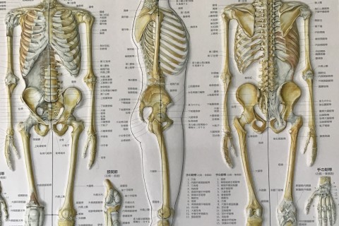 【満員御礼！2025.7.21金沢市開催】フォームアドバイス　少人数制×坂道インターバル走