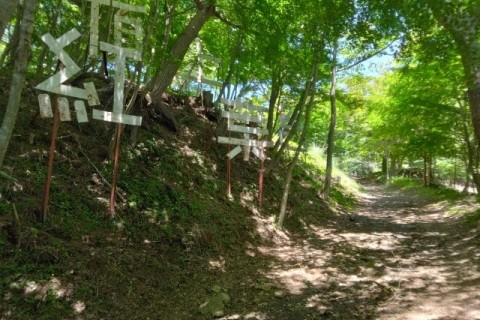 Saturday Community Run(青木ヶ原樹海トレイルラン)