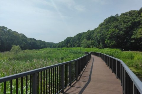 Sunday Community Run(藤沢ロードラン+ソフトドリンク工場見学)
