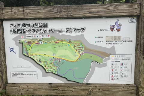 【彩のランニング特別練習会】7月13日（日）＠東松山クロスカントリーコース ファートレック