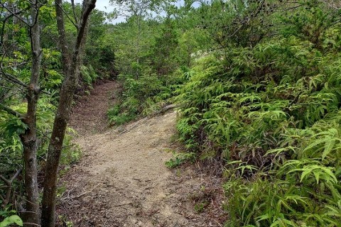 淡路市制20周年記念　淡路市古道ウォーキングイベント