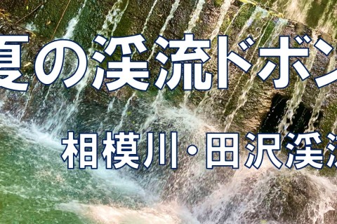 【夏の渓流ドボン・相模川弁天橋田沢渓流・高尾山ー小仏城山ー相模湖コース16km】