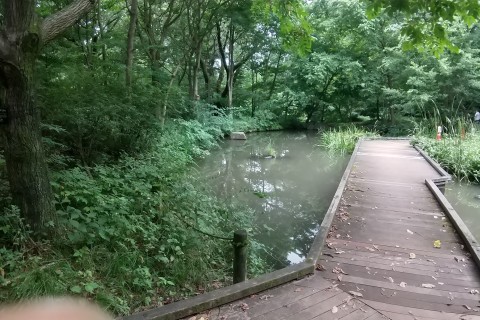 8/2（土）新宿御苑早朝ラン＆ウォーク 2H