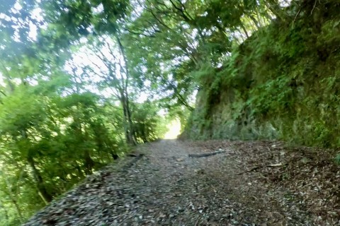 【林道ラン＆バーベキュー】木陰deランニング練習会 in 丹沢