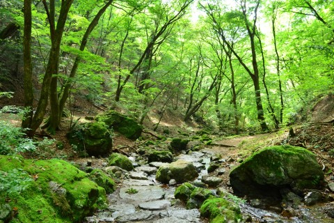 ゆる山あるき　御岳山　奥の院とロックガーデン