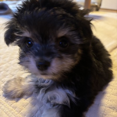 kenshin20120127@gmail.com