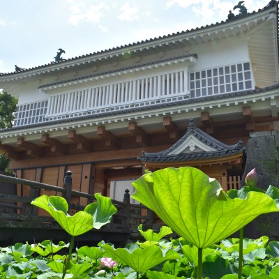 【お城マラソン】鹿児島マラソン