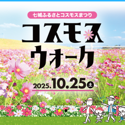 【七城ふるさとコスモスまつり】コスモスウォーク2025