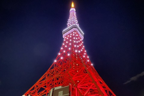 シルバーリボンラン＆ウォーク2025～みんなで進もう。Well-Being～