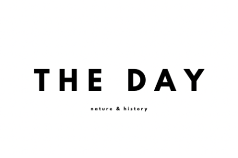 THE DAY実行委員会