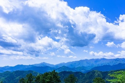 夏の青空とかき氷～初級者向けトレイルラン！ in 高尾山