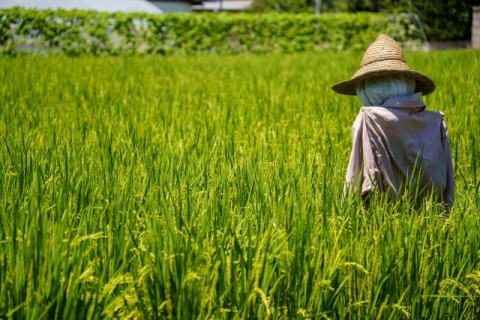 案山子が迎える舞岡公園