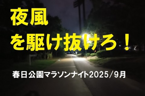 今年もやります！春日公園マラソンナイト2025/9月 参加料無料