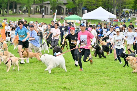 豊中市後援ドッグマラソン 2025大阪カニクロス