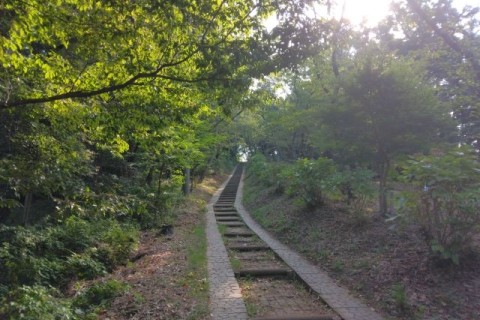 Saturday Run(弘法山トレラン+収穫体験) supported by WARABEAT!!