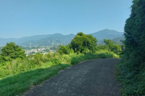 Saturday Community Hike(弘法山ハイキング+キウイ収穫体験)