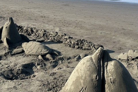 ビーチクリーン