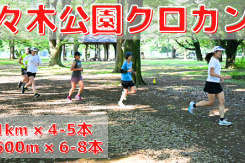 8/13(水),27(水)代々木公園クロカン部