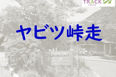 ヤビツ峠走