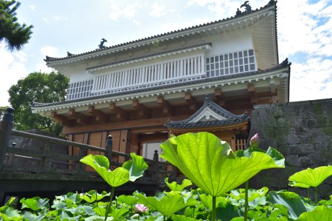 鹿児島マラソン