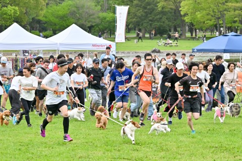 豊中市後援ドッグマラソン 2025大阪カニクロス