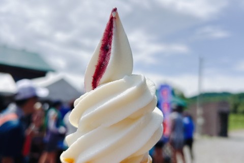 真駒内→常盤→石山ぐるっとマラニック