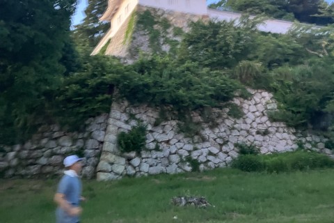 元Jリーグトレーナーによるランニング練習会@明石公園　（初心者向け） (8/30土, 31日)